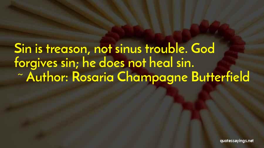 Rosaria Champagne Butterfield Quotes 2020692