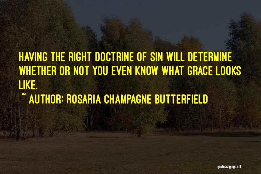 Rosaria Champagne Butterfield Quotes 544256