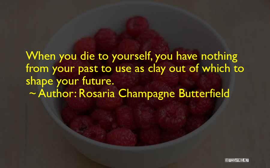 Rosaria Champagne Butterfield Quotes 585248