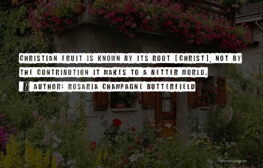 Rosaria Champagne Butterfield Quotes 618321