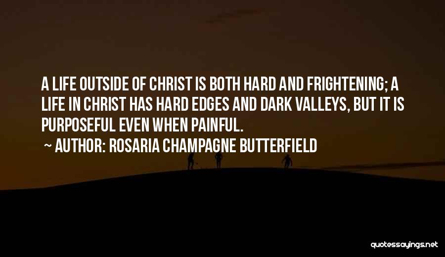 Rosaria Champagne Butterfield Quotes 806633