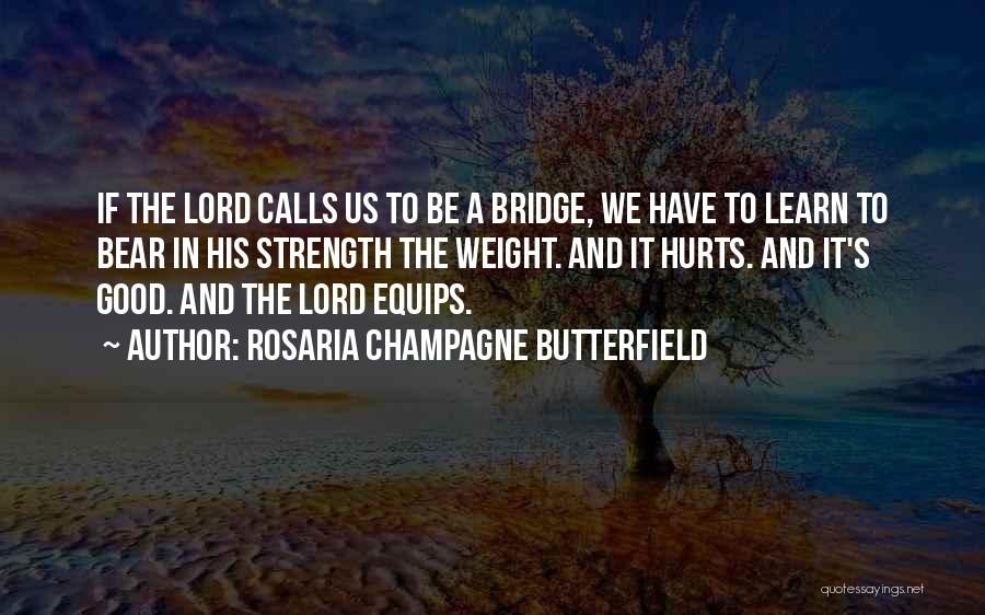 Rosaria Champagne Butterfield Quotes 919157