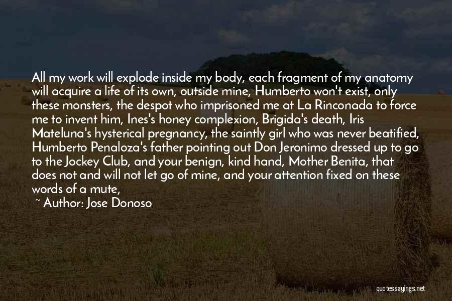Rosaries Quotes By Jose Donoso