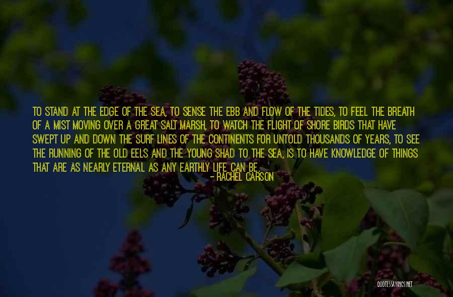 Roschier Quotes By Rachel Carson Roschier Quotes By Rachel Carson