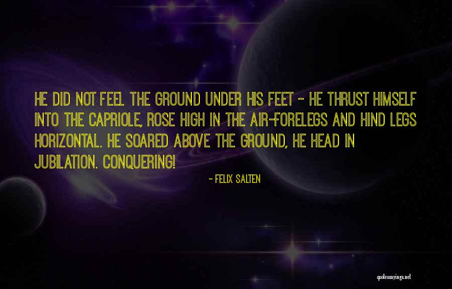 Rose Above Quotes By Felix Salten Rose Above Quotes By Felix Salten