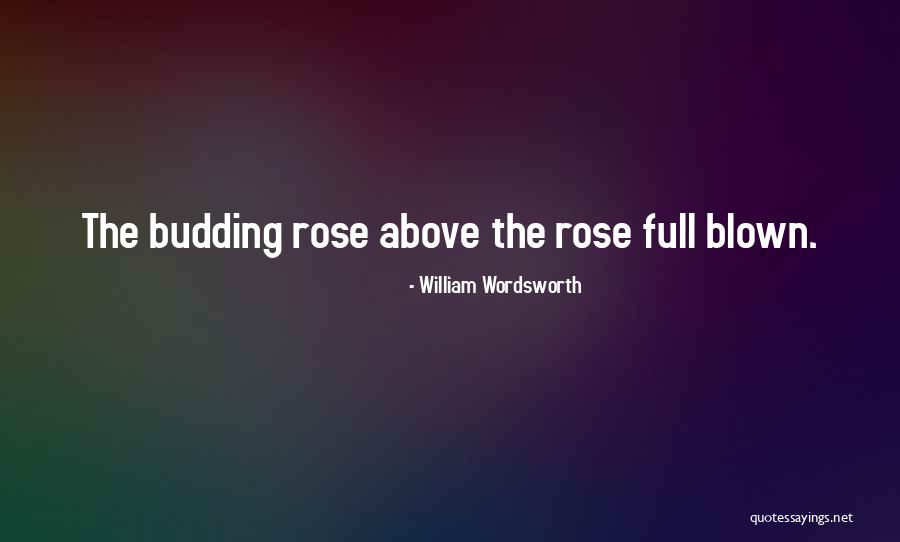 Rose Above Quotes By William Wordsworth Rose Above Quotes By William Wordsworth