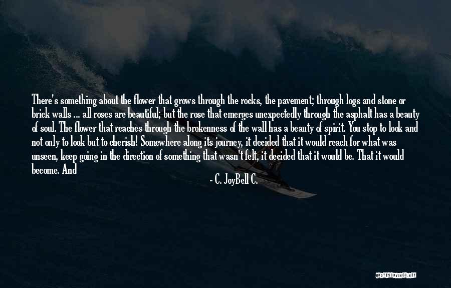 Rose And Beauty Quotes By C. JoyBell C. Rose And Beauty Quotes By C. JoyBell C.