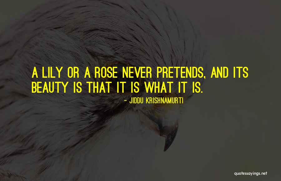 Rose And Beauty Quotes By Jiddu Krishnamurti Rose And Beauty Quotes By Jiddu Krishnamurti