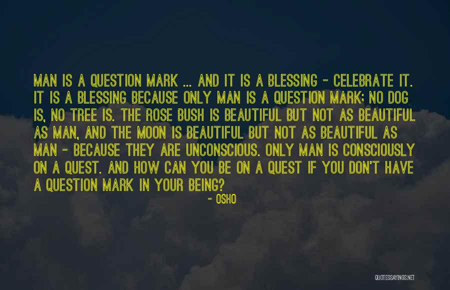 Rose And Beauty Quotes By Osho Rose And Beauty Quotes By Osho