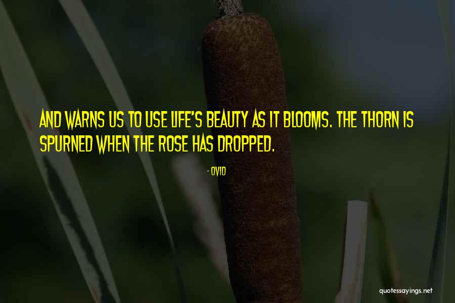 Rose And Beauty Quotes By Ovid Rose And Beauty Quotes By Ovid