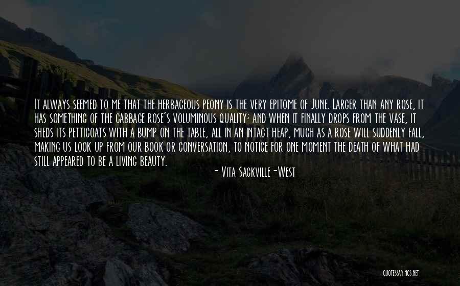 Rose And Beauty Quotes By Vita Sackville-West Rose And Beauty Quotes By Vita Sackville-West