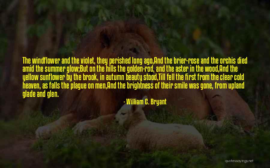 Rose And Beauty Quotes By William C. Bryant Rose And Beauty Quotes By William C. Bryant