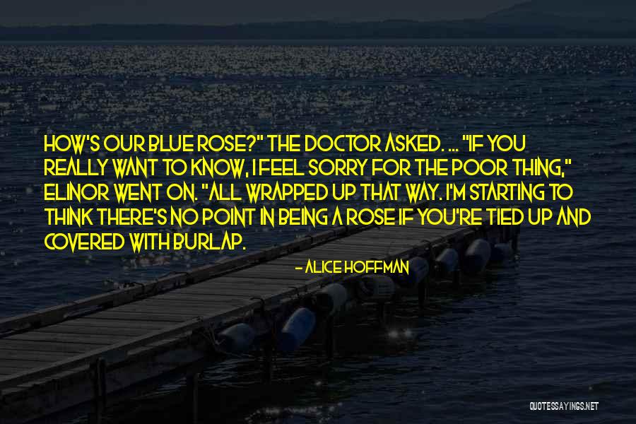 Rose And Doctor Quotes By Alice Hoffman Rose And Doctor Quotes By Alice Hoffman