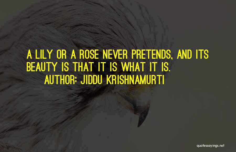 Rose And Lily Quotes By Jiddu Krishnamurti