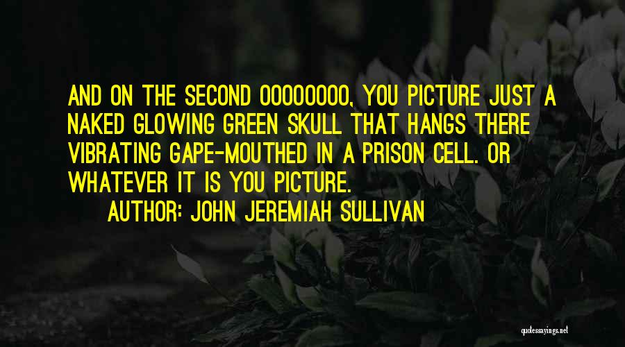 Rose And Skull Quotes By John Jeremiah Sullivan