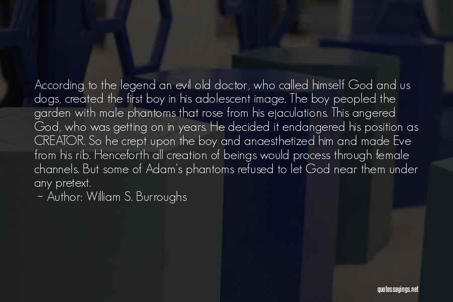 Rose And The Doctor Quotes By William S. Burroughs