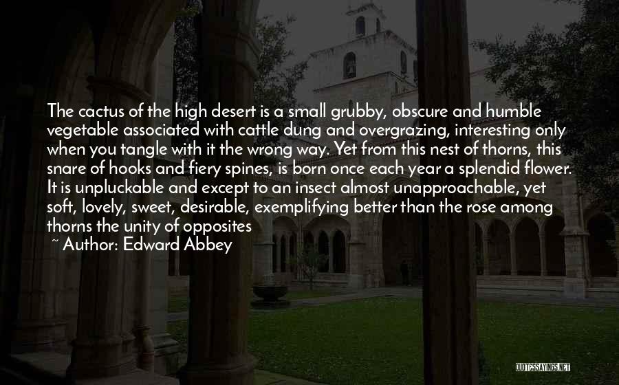 Rose And Thorns Quotes By Edward Abbey