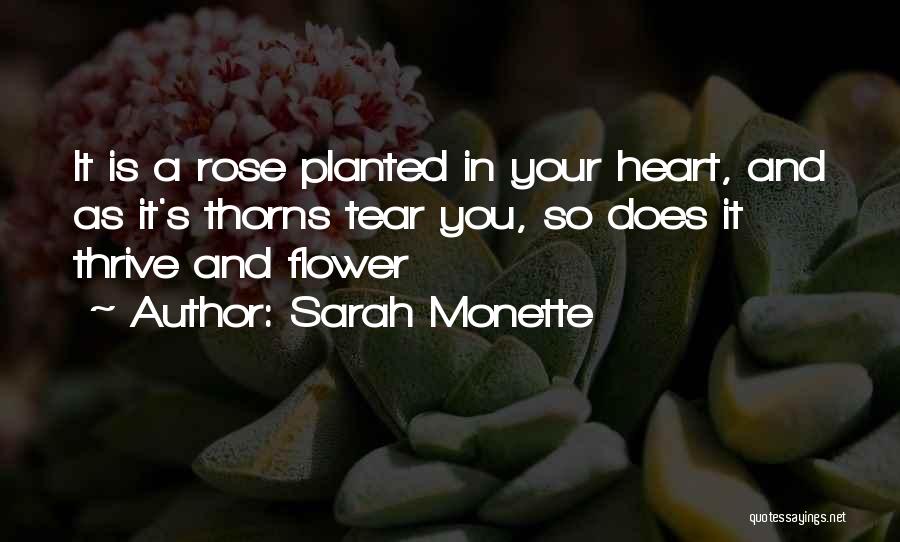 Rose And Thorns Quotes By Sarah Monette