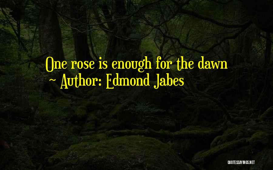Rose Beauty Quotes By Edmond Jabes
