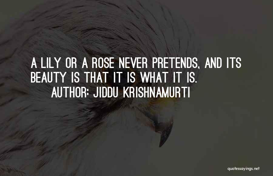 Rose Beauty Quotes By Jiddu Krishnamurti