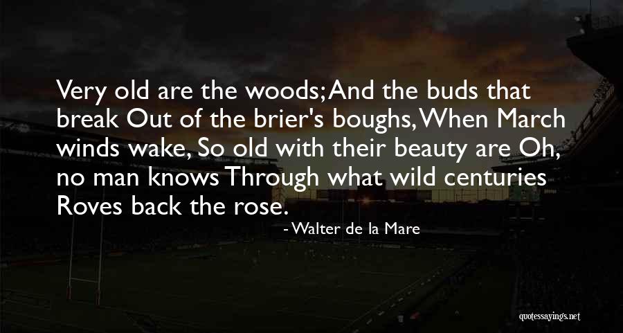 Rose Beauty Quotes By Walter De La Mare