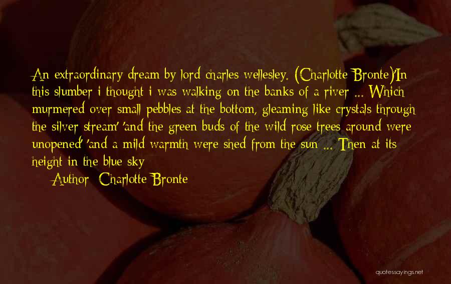 Rose Buds Quotes By Charlotte Bronte