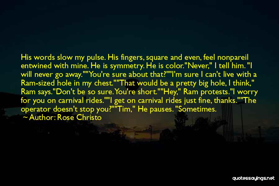 Rose Christo Quotes 1962909