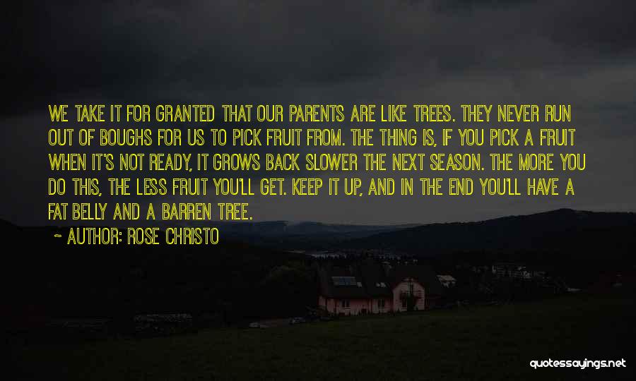 Rose Christo Quotes 931201