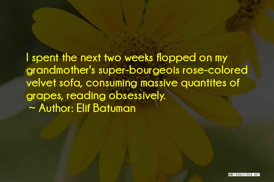 Rose Colored Quotes By Elif Batuman