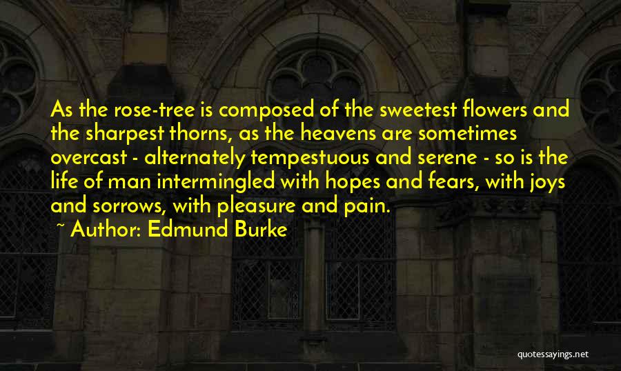 Rose Flowers Quotes By Edmund Burke