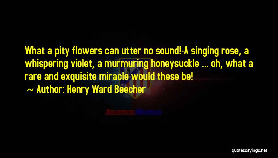 Rose Flowers Quotes By Henry Ward Beecher