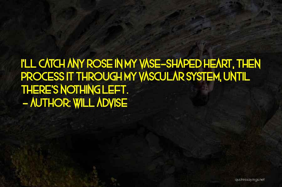 Rose Flowers Quotes By Will Advise