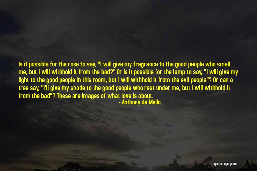 Rose Images Love Quotes By Anthony De Mello Rose Images Love Quotes By Anthony De Mello