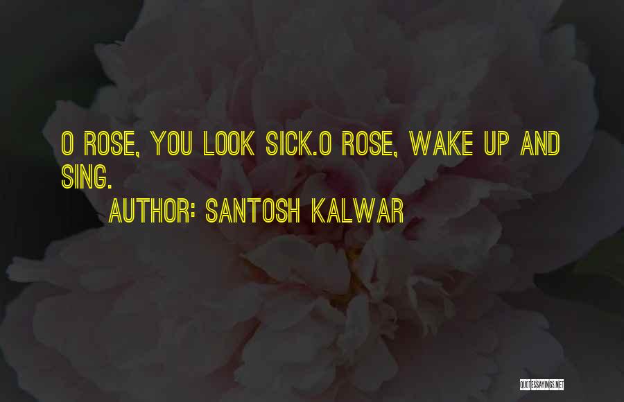 Rose O'neill Quotes By Santosh Kalwar