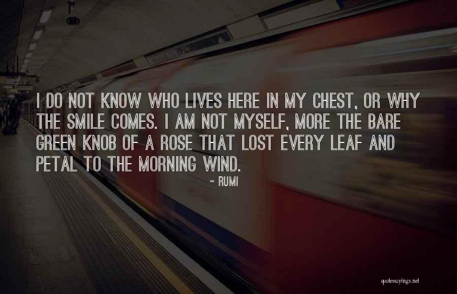 Rose Petal Quotes By Rumi Rose Petal Quotes By Rumi