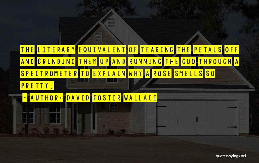 Rose Petals Quotes By David Foster Wallace