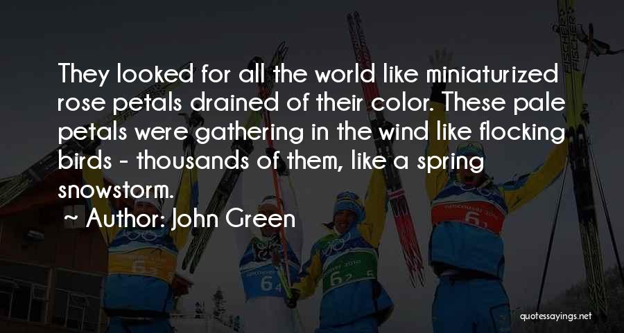 Rose Petals Quotes By John Green