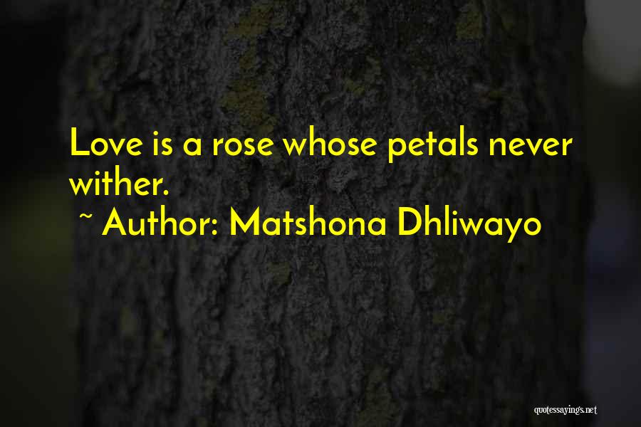 Rose Petals Quotes By Matshona Dhliwayo
