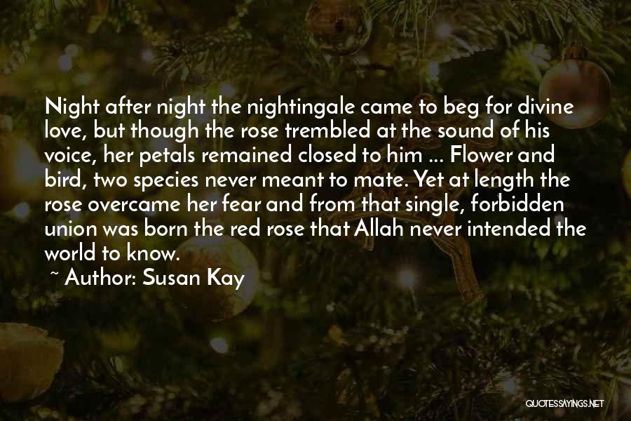 Rose Petals Quotes By Susan Kay