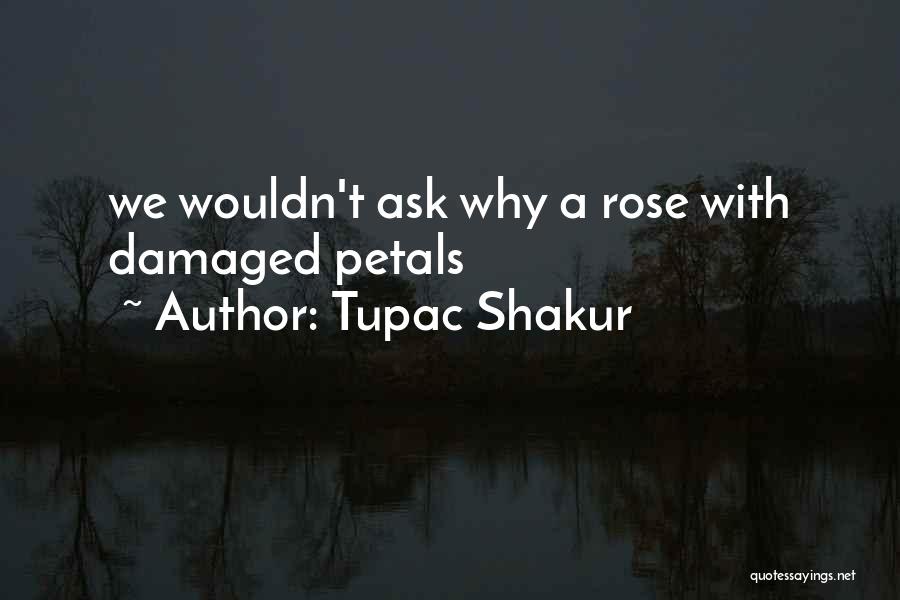 Rose Petals Quotes By Tupac Shakur