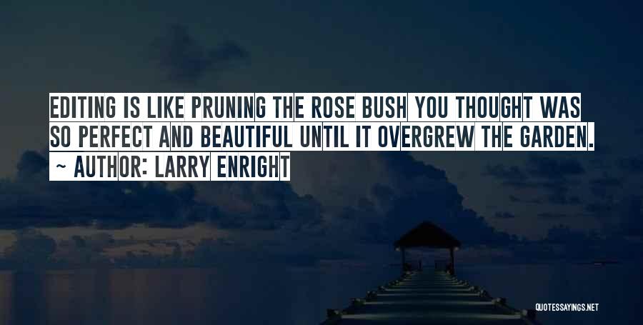 Rose Pruning Quotes By Larry Enright