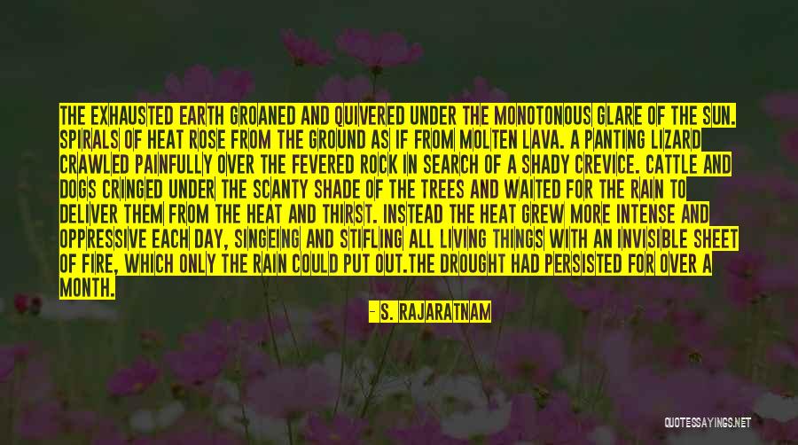 Rose Rock Quotes By S. Rajaratnam Rose Rock Quotes By S. Rajaratnam