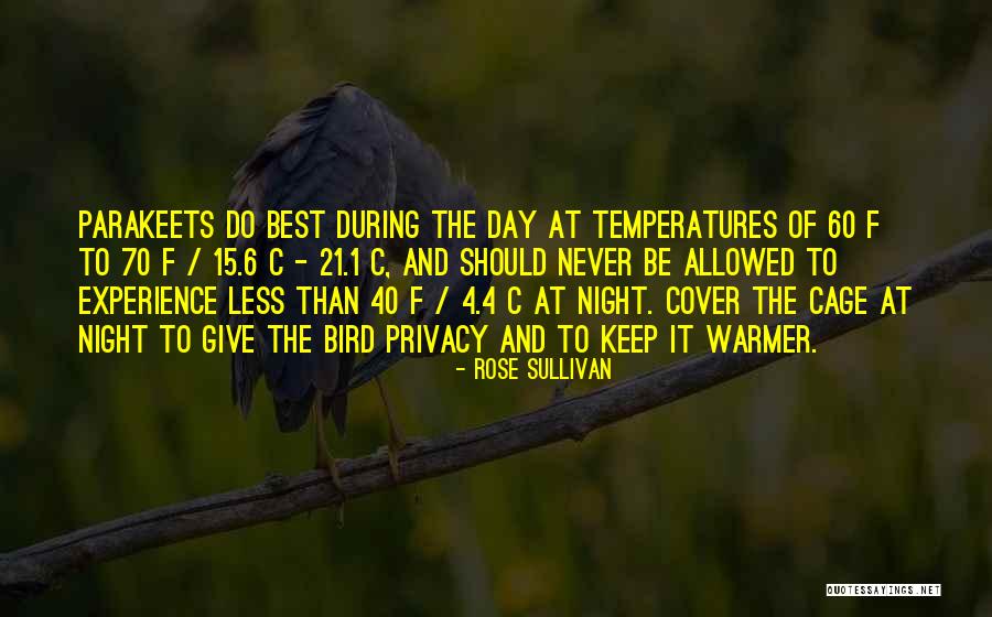 Rose Sullivan Quotes 689417 Rose Sullivan Quotes 689417