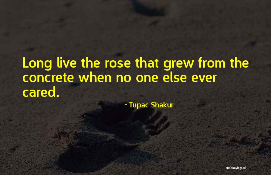 Rose That Grew From The Concrete Quotes By Tupac Shakur Rose That Grew From The Concrete Quotes By Tupac Shakur