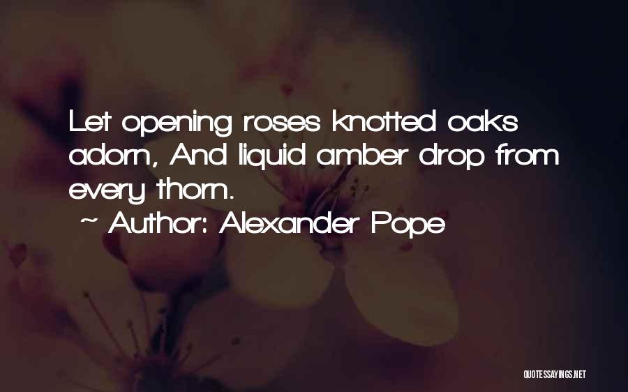 Rose Thorn Quotes By Alexander Pope