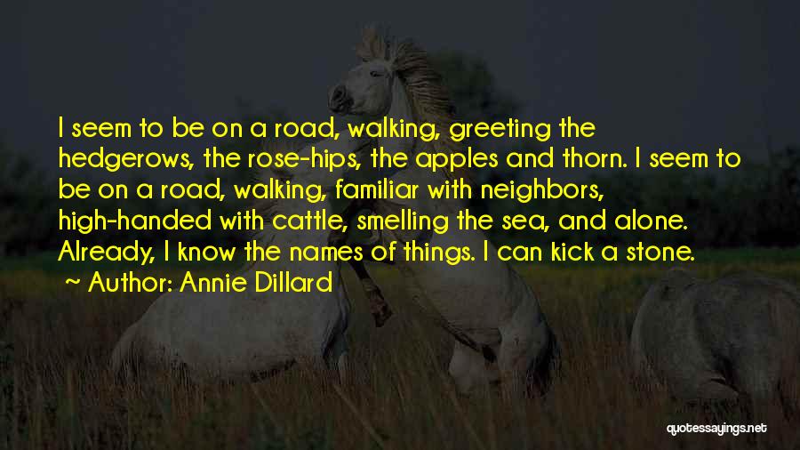 Rose Thorn Quotes By Annie Dillard