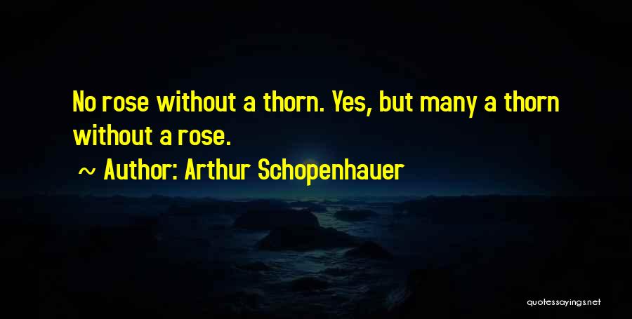 Rose Thorn Quotes By Arthur Schopenhauer