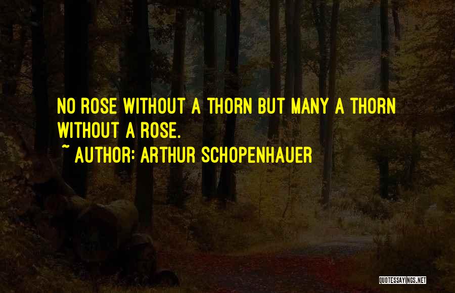 Rose Thorn Quotes By Arthur Schopenhauer