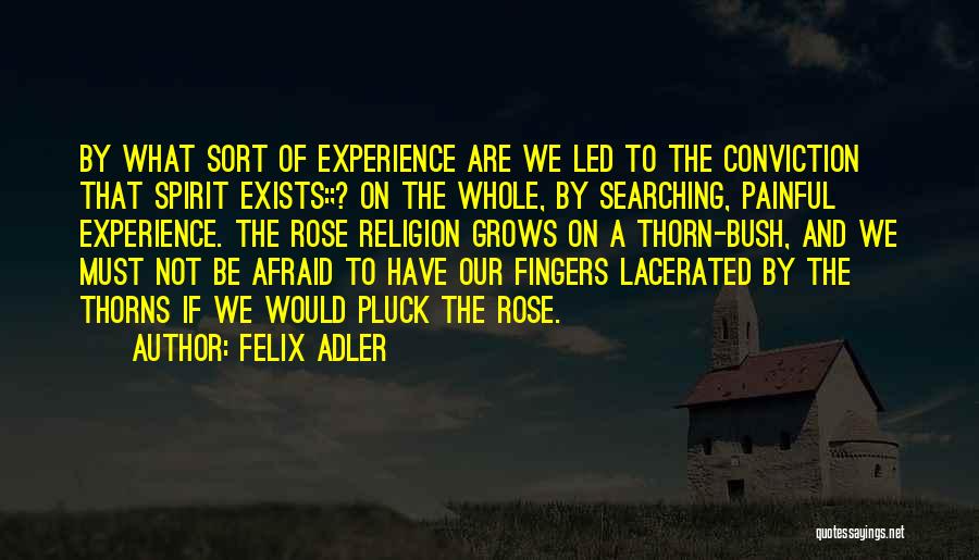 Rose Thorn Quotes By Felix Adler