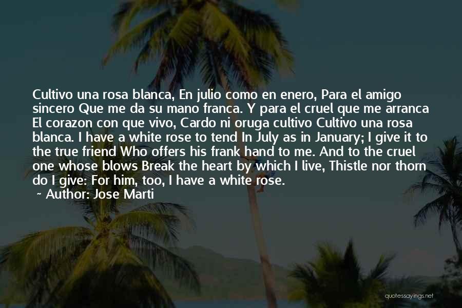 Rose Thorn Quotes By Jose Marti